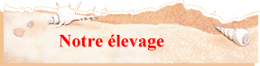 Notre levage
